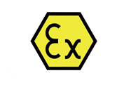 2ex